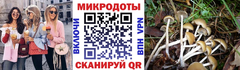 Купить закладки  Трёхгорный  Псилоцибиновые грибы мицелий 
